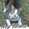 mybaxter212